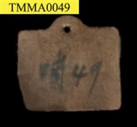 臺灣鯪鯉藏品圖，第9張